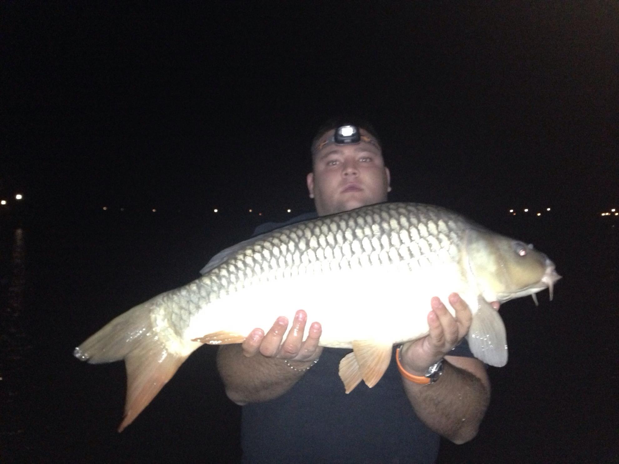 Pleasa 2013 - image11111.jpg